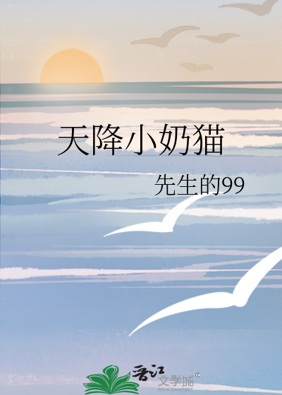 天降小奶猫