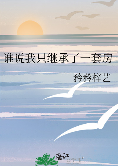 谁说我只继承了一套房