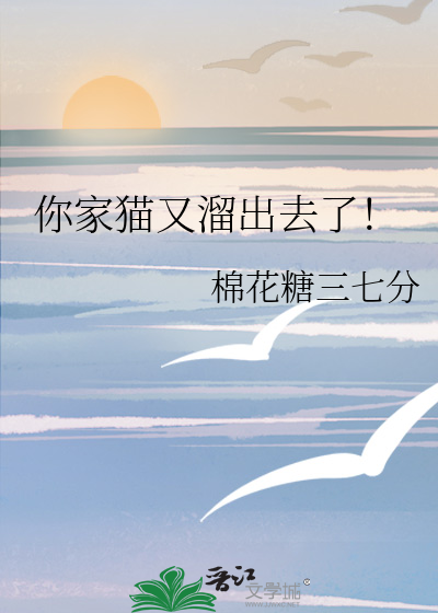 你家猫又溜出去了！