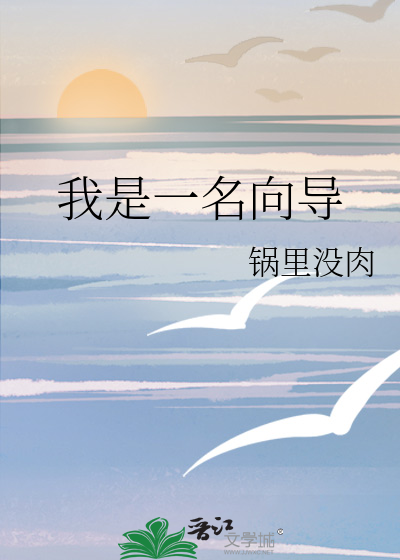 我是一名b级向导