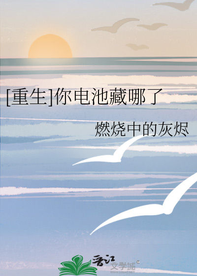 [重生]你电池藏哪了