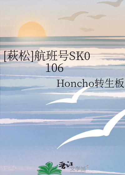 [萩松]航班号SK0106