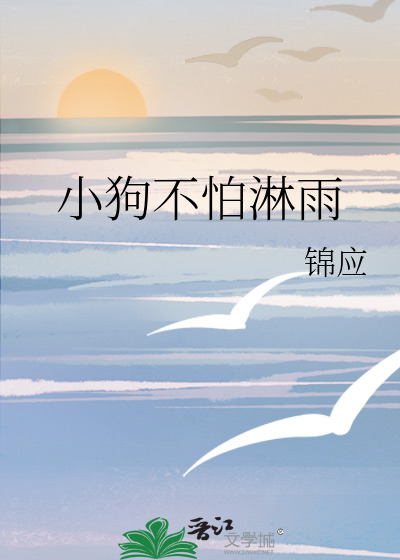 小狗不怕淋雨