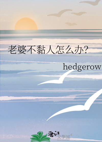老婆不黏人怎么办？