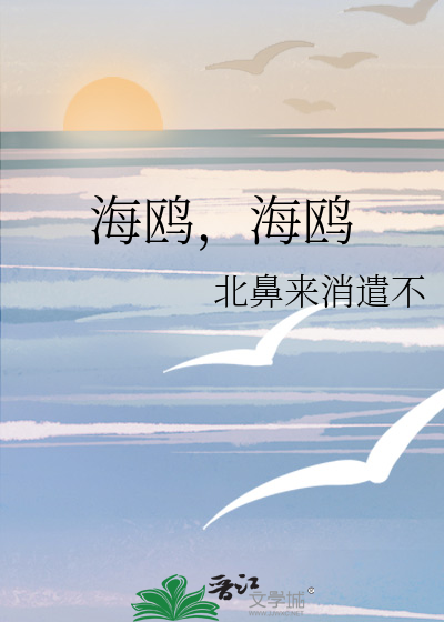 海鸥，海鸥