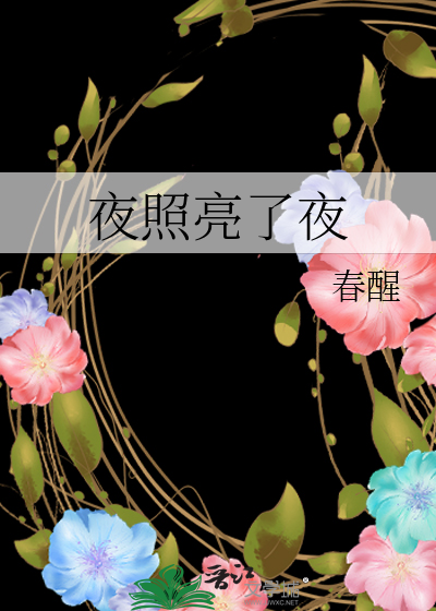夜照亮了夜