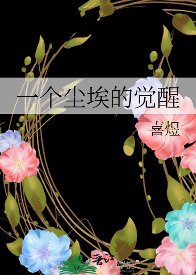 一个尘埃的觉醒