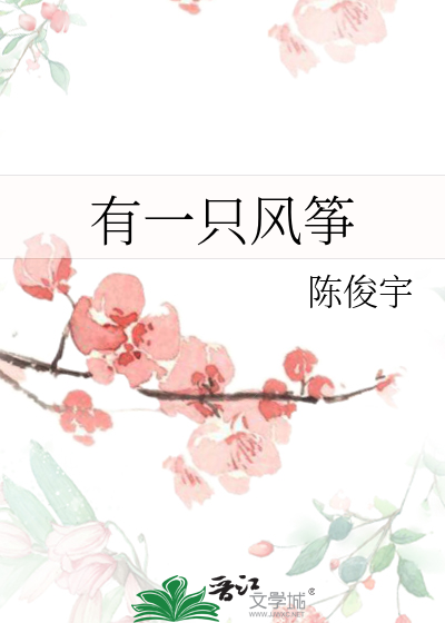 有一只风筝
