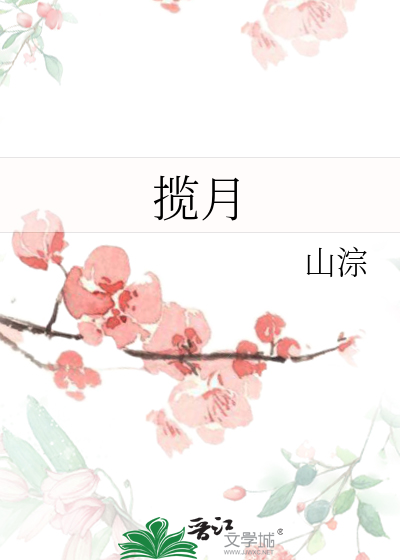 揽月