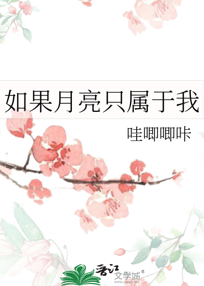 如果月亮只属于我
