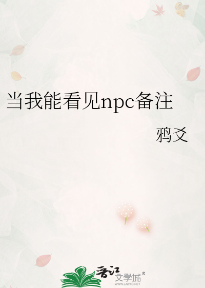 当我能看见npc备注