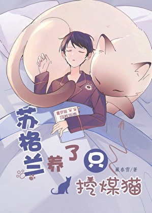 苏格兰养了只挖煤猫