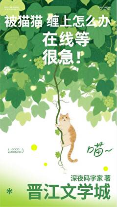 被猫猫缠上怎么办！在线等很急！